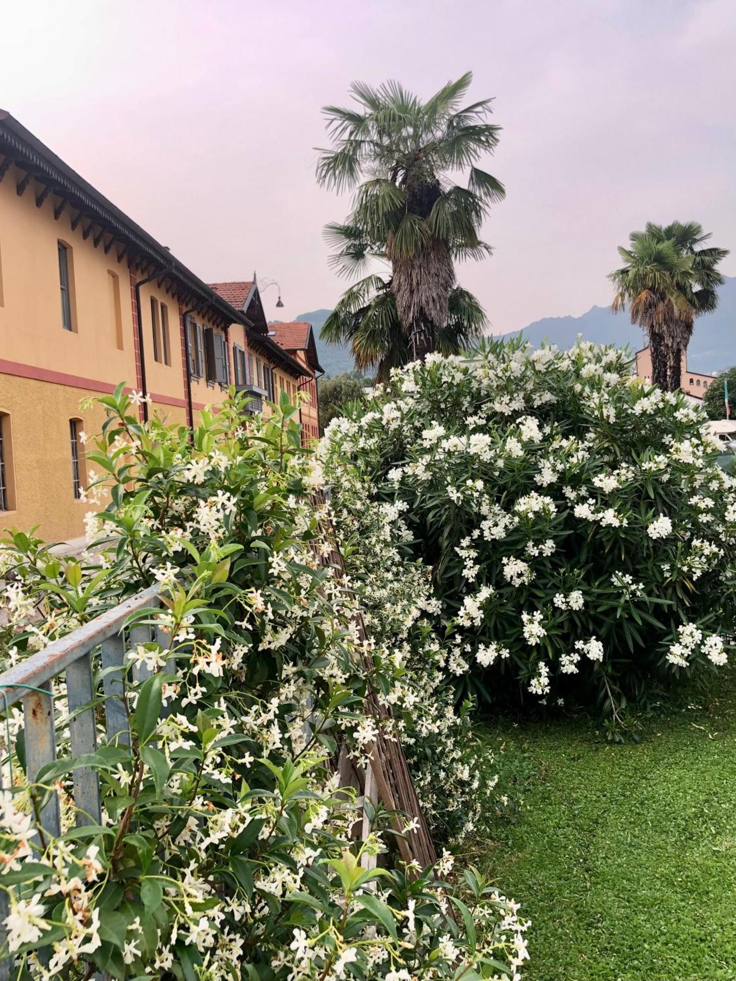 Roggia Maestra B&B Скио Екстериор снимка